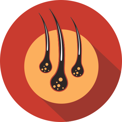 HAIRLIFE division icon